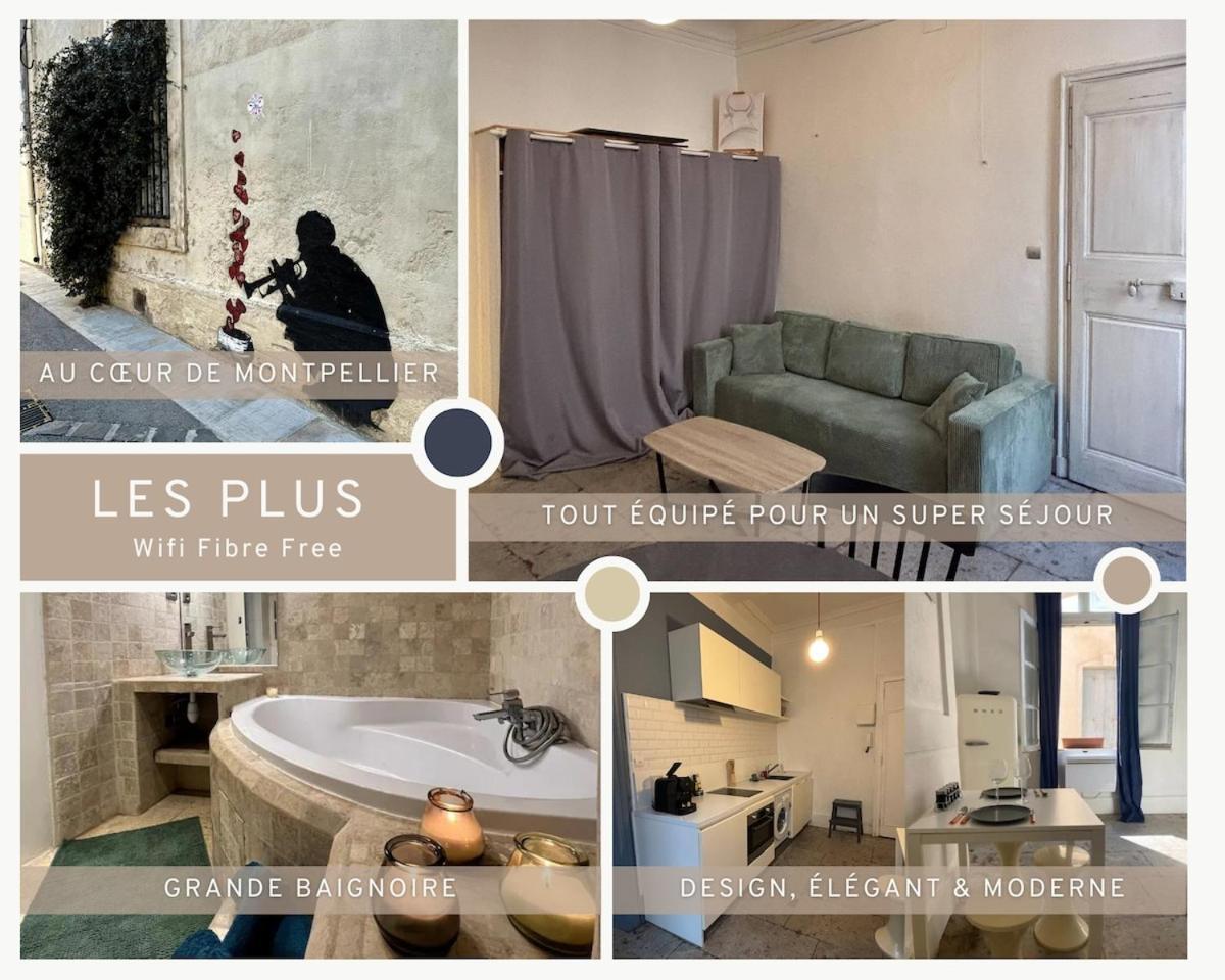 Apartment Grand F1 Centre Historique Ecusson 10min Comedie Montpellier